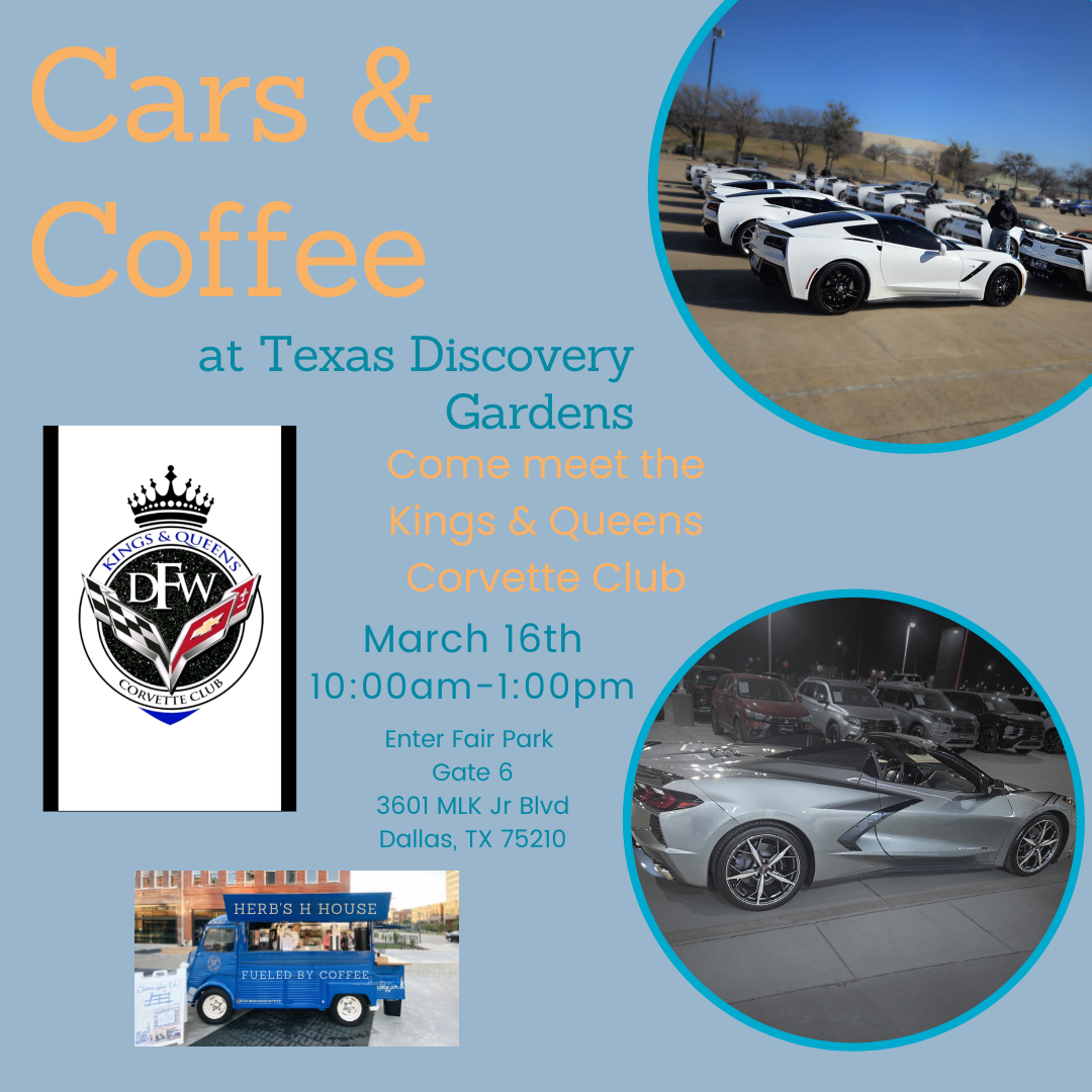 Cars and Coffee at TXDG: March