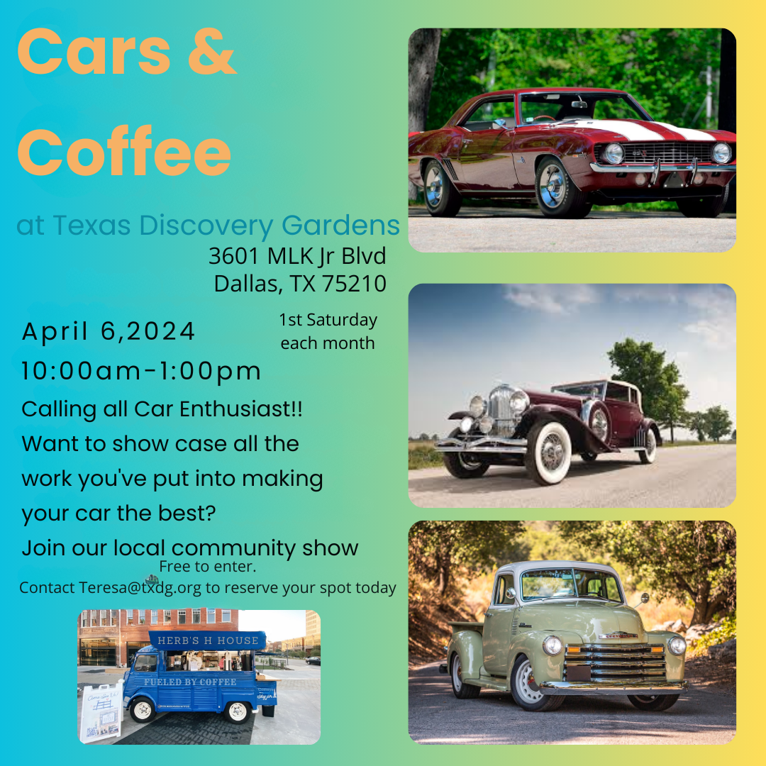 Cars and Coffee at TDG - April