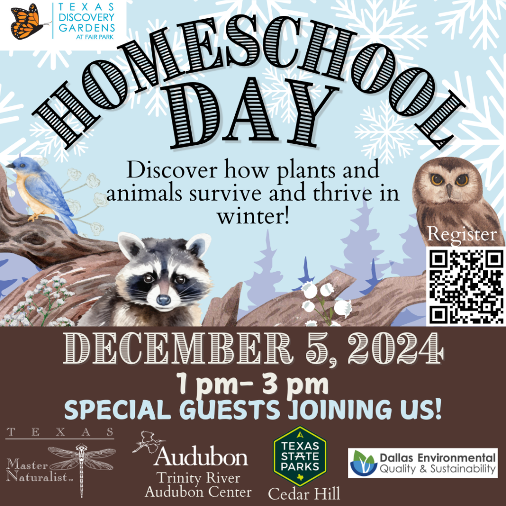 December Homeschool Day (2)