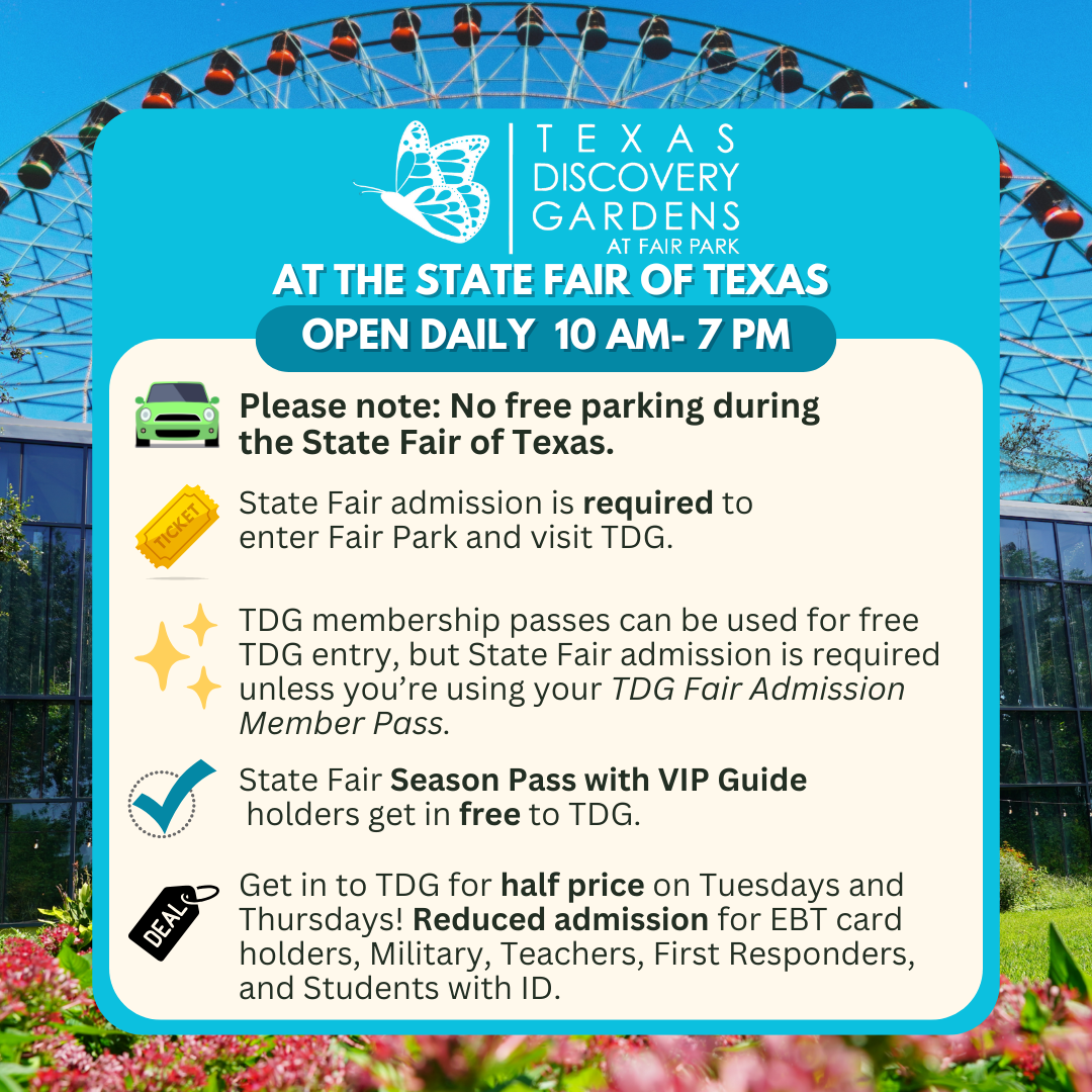  The State Fair of Texas