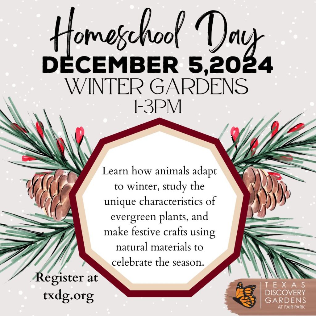 December Homeschool Day