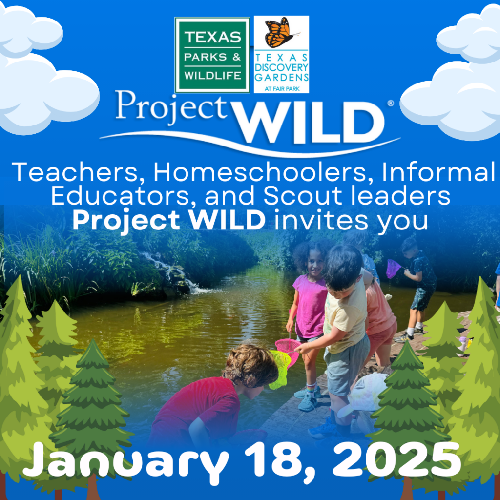 proj-wild-january