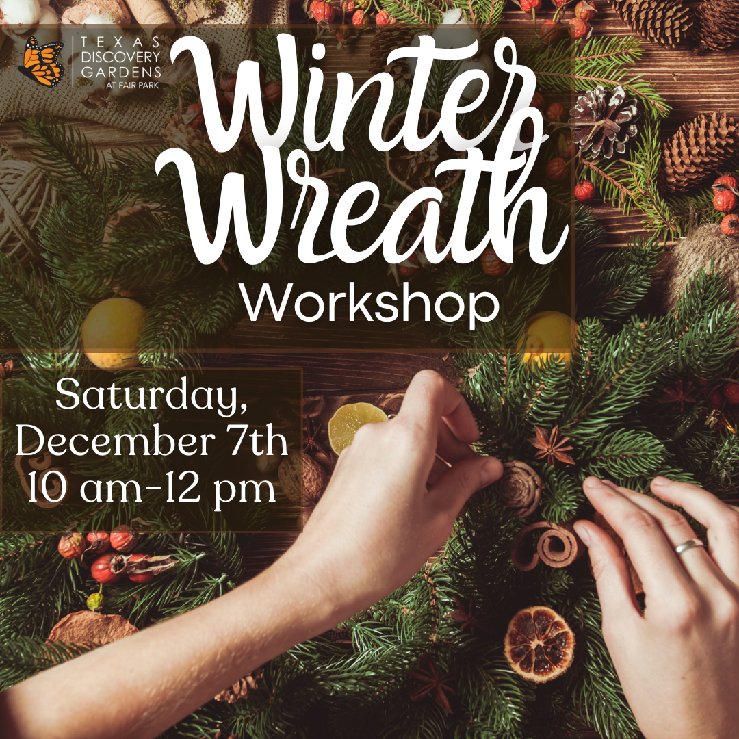 Discovery Days: Winter Wreath Workshop