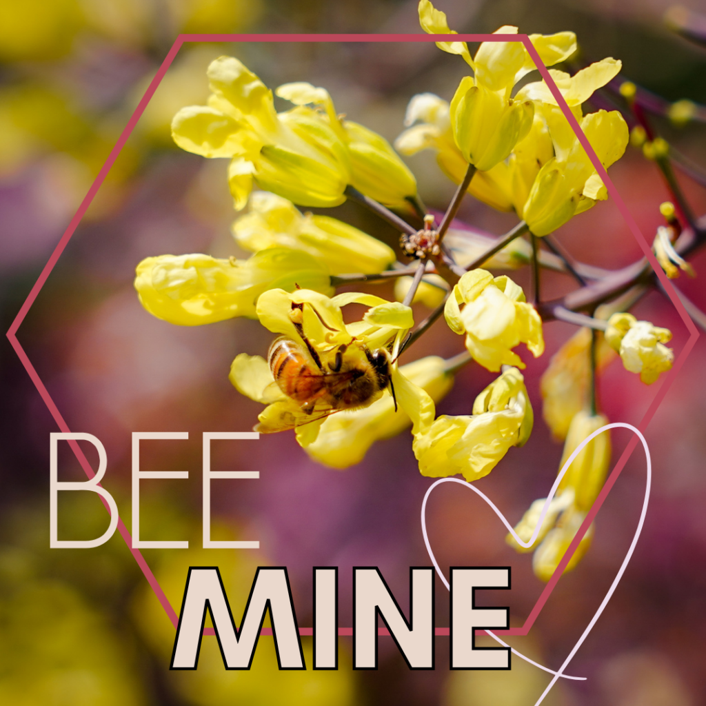 bee mine package