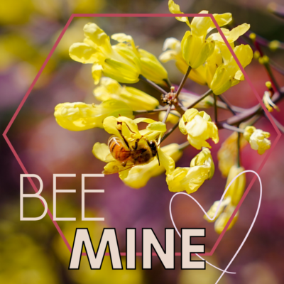 Valentine's Day Deals: Bee Mine Package