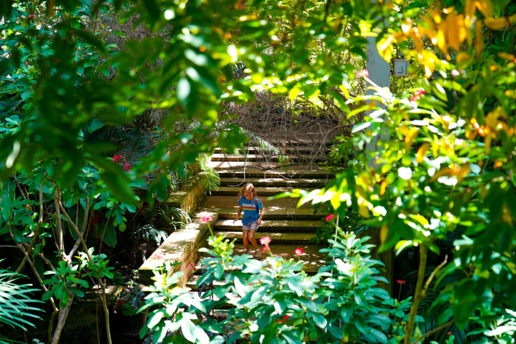 A child exploring Texas Discovery Gardens Butterfly House. 2025