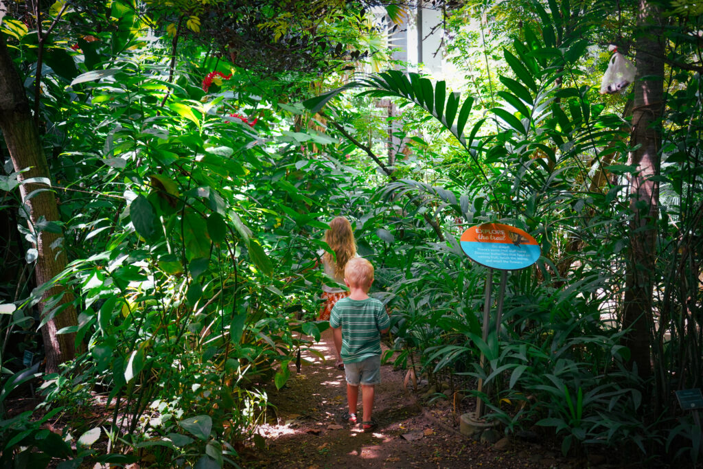 Children exploring butterflies in the Texas Discovery Gardens Butterfly House 2025