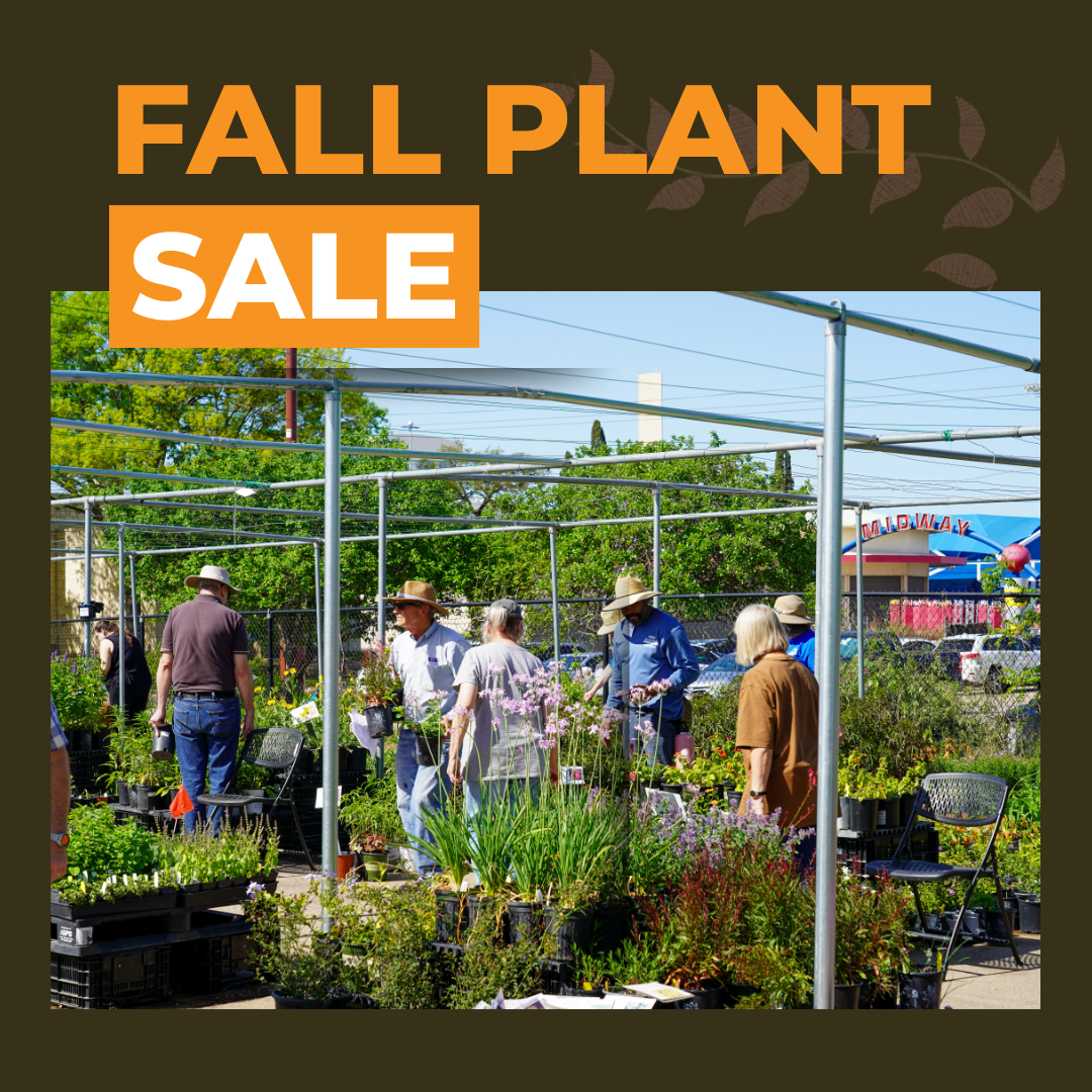 Fall Plant Sale