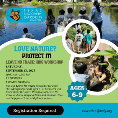 Discovery Days at TDG: Fall 2025 Workshops - Image 3