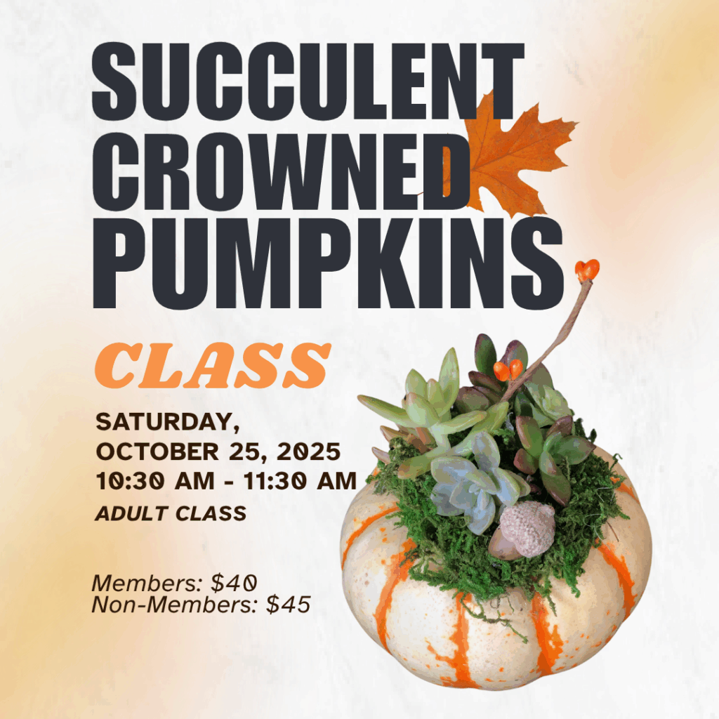 Pumpkin Class