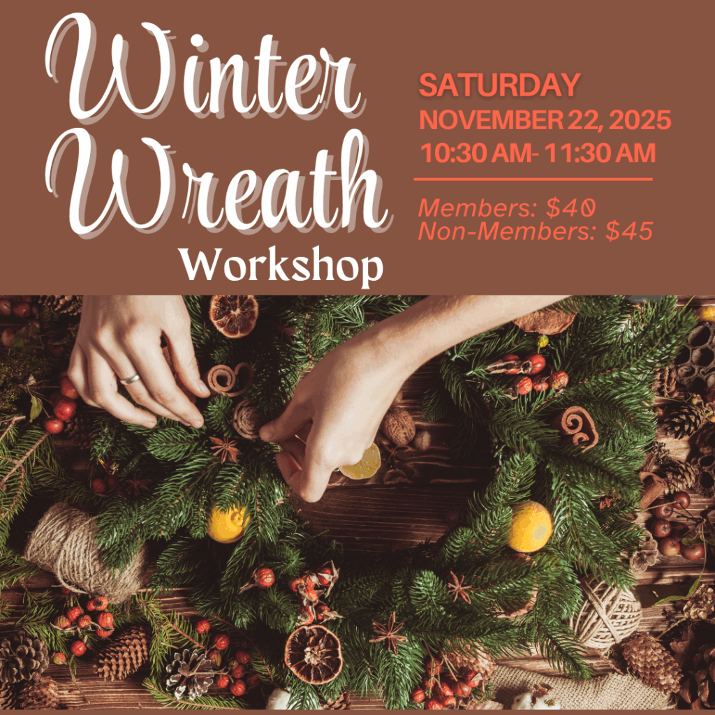 Winter Wreath