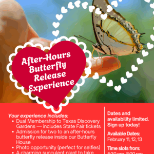 After-Hours Butterfly Release Experience