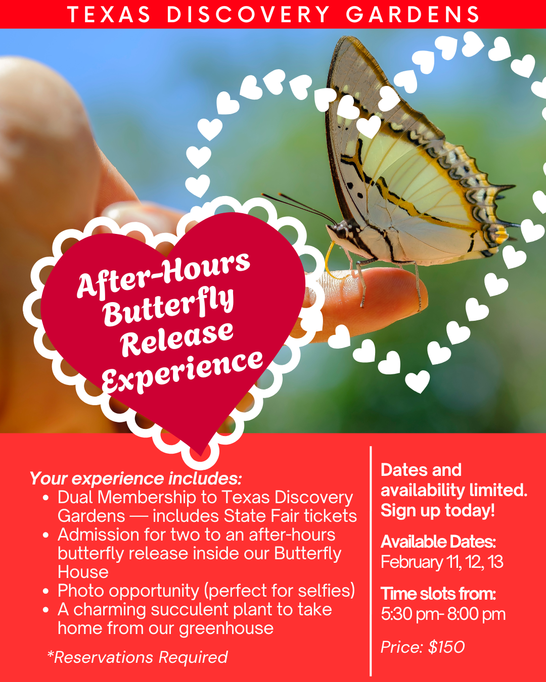 After-Hours Butterfly Release Experience