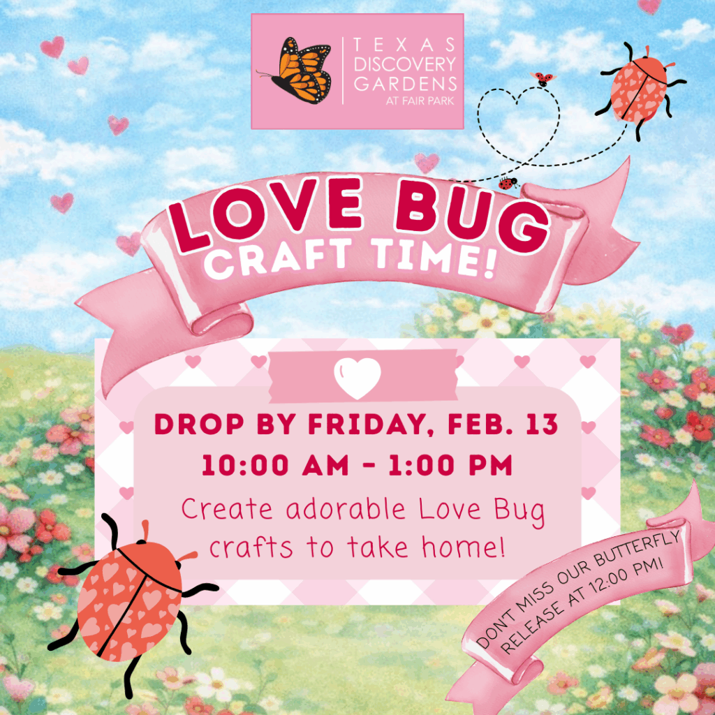 Love Bug Craft time (1)