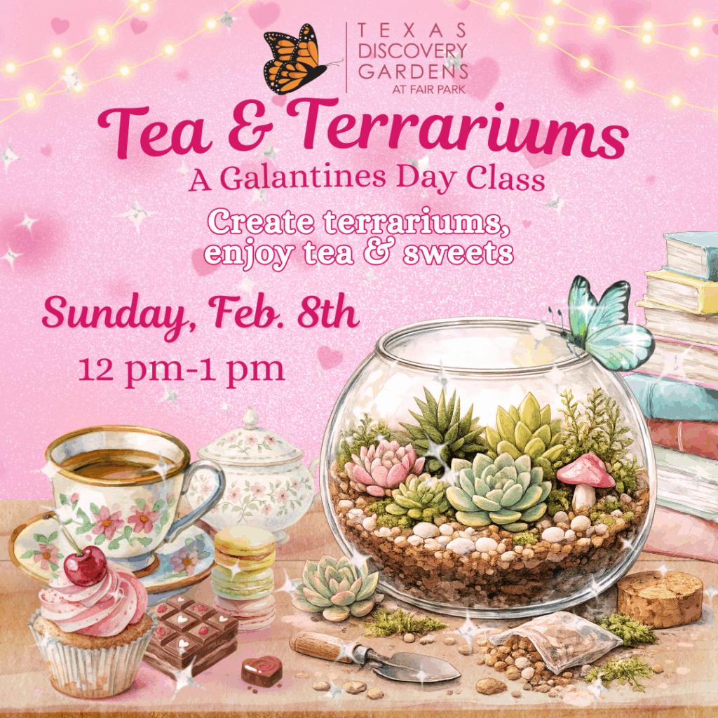 Tea_and_Terrariums