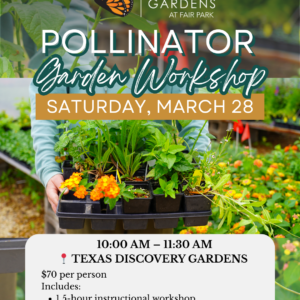 Pollinator Garden Workshop