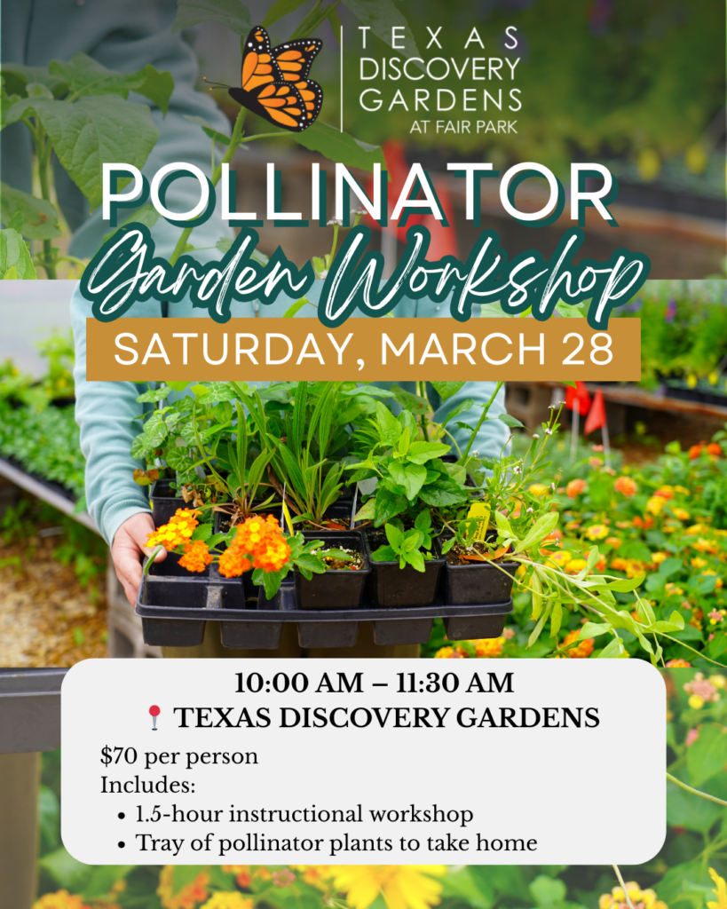 PollinatorGardenWorkshop
