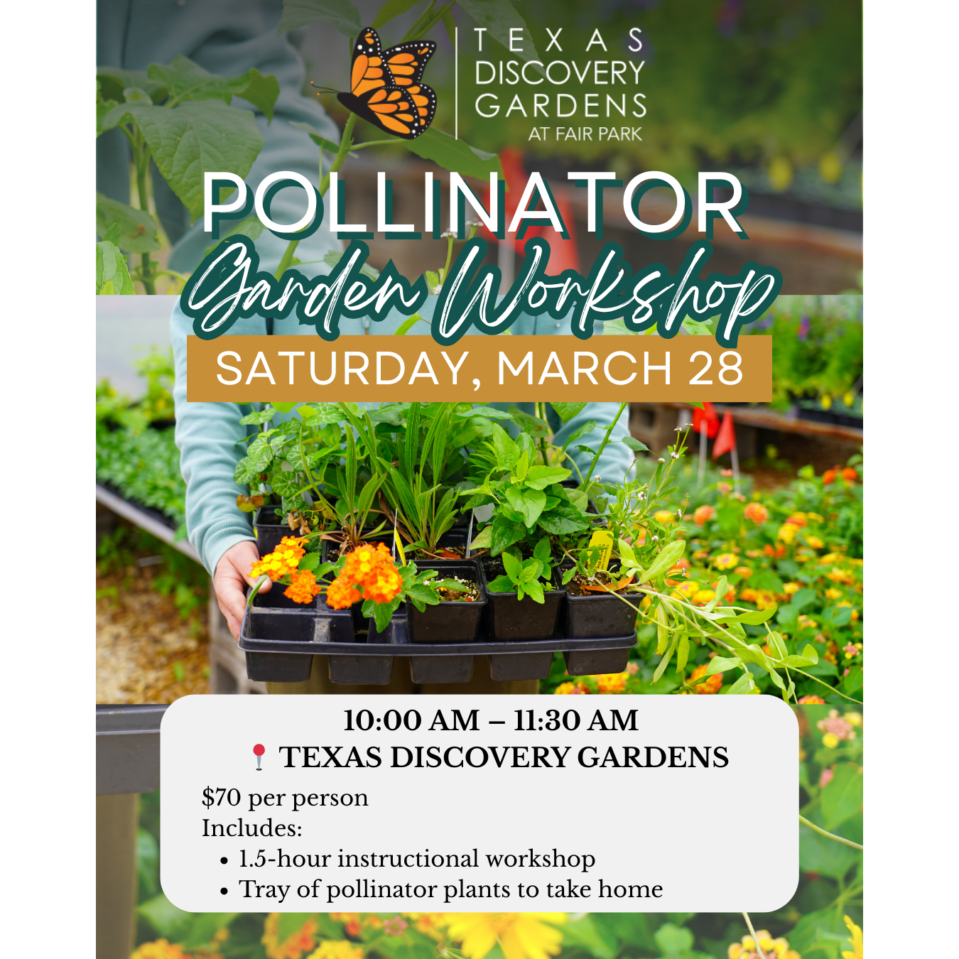 Pollinator Garden Workshop