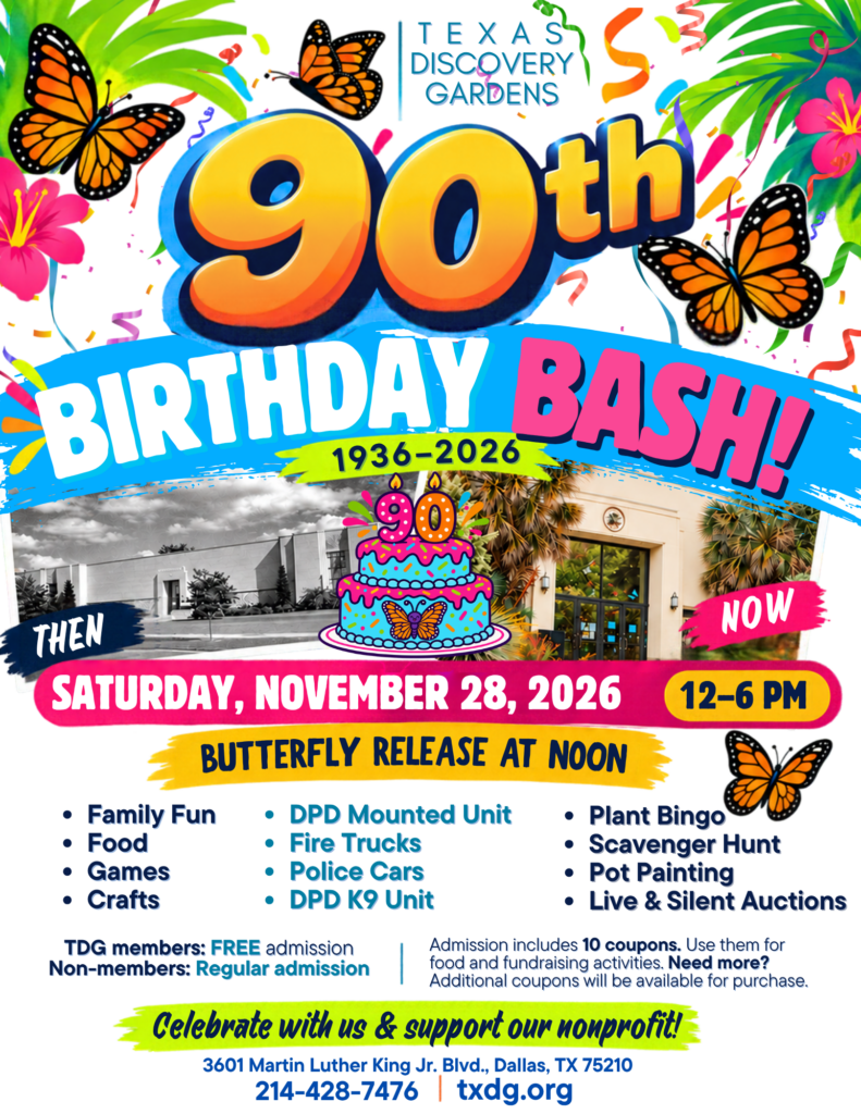 txdg new birthday bash